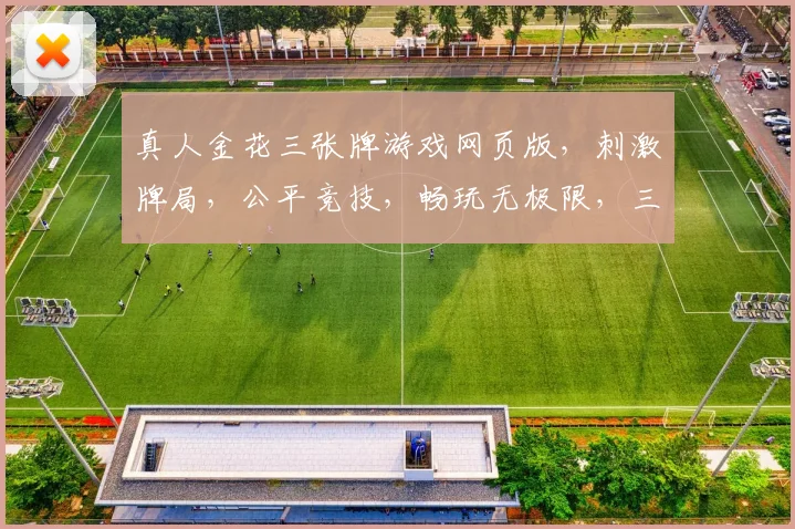 真人金花三张牌游戏网页版，刺激牌局，公平竞技，畅玩无极限，三逗乐翻天