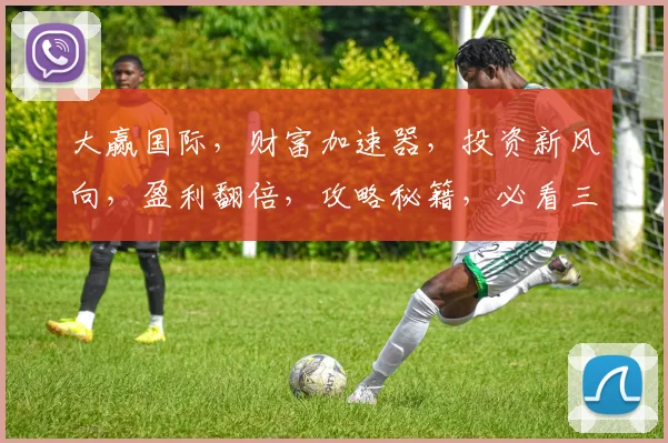 大赢国际，财富加速器，投资新风向，盈利翻倍，攻略秘籍，必看三步